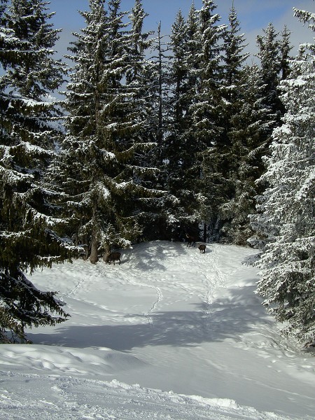 Schruns 2009  ITA2a und AIT2